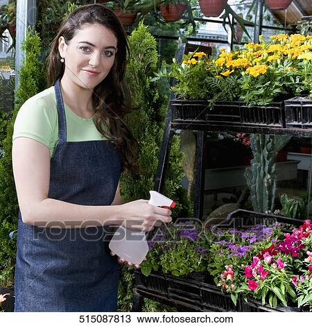 Stock Image - Woman spraying water on flowers in a greenhouse. Fotosearch