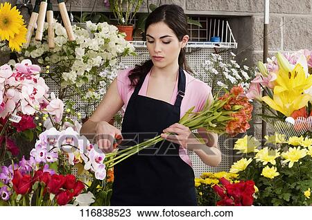 Woman working in a flower shop View Large Photo Image Stock Image - Woman working in a flower shop. Fotosearch