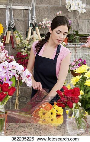 Woman working in a flower shop View Large Photo Image Stock Photography - Woman working in a flower shop. Fotosearch