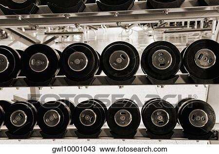 Barbells in a gym View Large Photo Image Stock Image - Barbells in a gym. Fotosearch