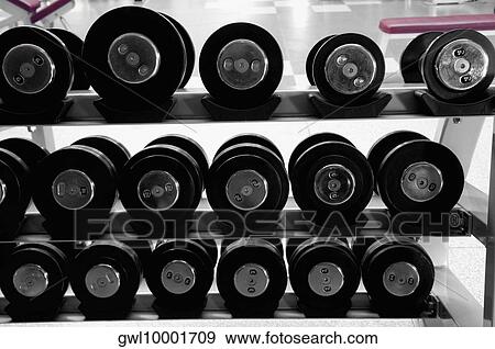 Barbells in a gym View Large Photo Image Stock Photo - Barbells in a gym. Fotosearch