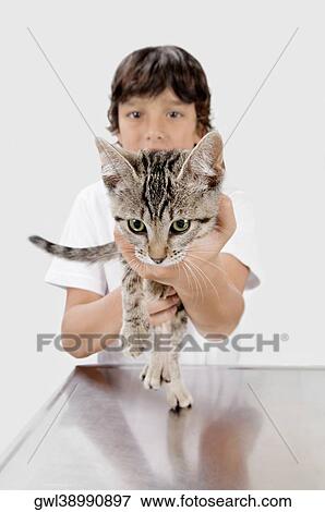 Boy carrying a cat in a veterinary hospital View Large Photo Image Stock Photo - Boy carrying a cat in a veterinary hospital. Fotosearch