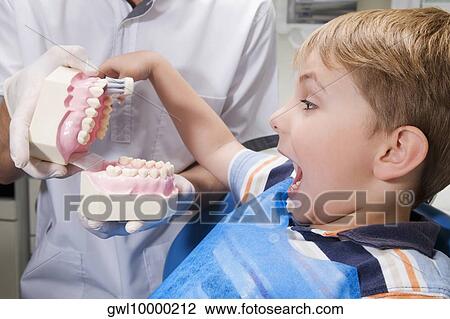 Boy learning how to brush teeth with the help of dentures in a dentist's office View Large Photo Image Stock Image - Boy learning how to brush teeth with the help of dentures in a dentist's office. Fotosearch