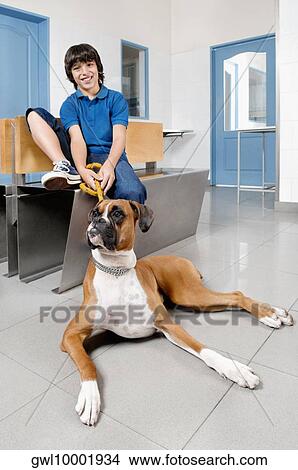 Boy sitting with a dog in a veterinary hospital View Large Photo Image Picture - Boy sitting with a dog in a veterinary hospital. Fotosearch