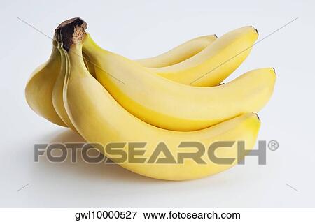 Close-up of a hand of bananas View Large Photo Image Stock Photo - Close-up of a hand of bananas. Fotosearch