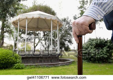 Close-up of a man's hand holding a cane View Large Photo Image Stock Image - Close-up of a man's hand holding a cane. Fotosearch