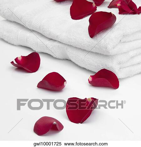 Close-up of a stack of towels with rose petals View Large Photo Image Stock Photography - Close-up of a stack of towels with rose petals. Fotosearch