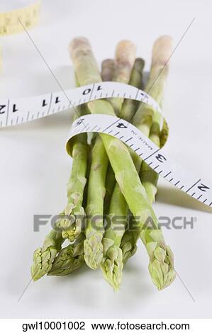 Close-up of a tape measure wrapped around asparagus stalks View Large Photo Image Stock Image - Close-up of a tape measure wrapped around asparagus stalks. Fotosearch
