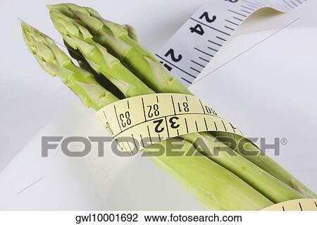 Close-up of a tape measure wrapped around asparagus stalks View Large Photo Image Stock Image - Close-up of a tape measure wrapped around asparagus stalks. Fotosearch