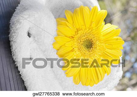 Stock Photo - Close-up of a towel with a flower. Fotosearch