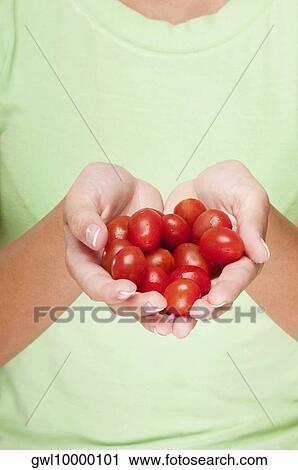 Close-up of a woman holding cherry tomatoes View Large Photo Image Stock Image - Close-up of a woman holding cherry tomatoes. Fotosearch