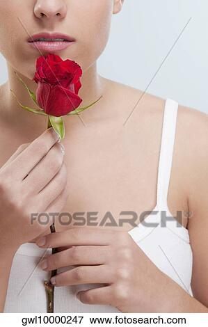 Close-up of a woman smelling a rose View Large Photo Image Stock Photo - Close-up of a woman smelling a rose. Fotosearch