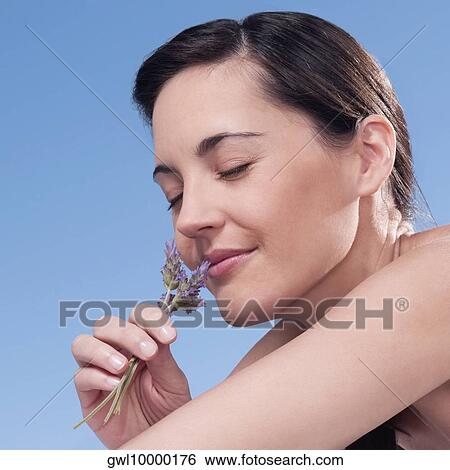 Stock Photograph - Close-up of a woman smelling lavender flowers. Fotosearch