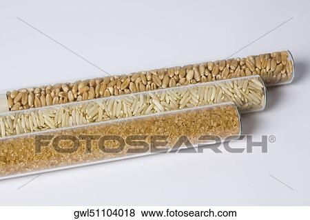 Close-up of brown rice and sugar with wheat in test tubes View Large Photo Image Stock Photo - Close-up of brown rice and sugar with wheat in test tubes. Fotosearch