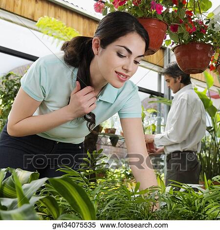 Customers choosing plants in a greenhouse View Large Photo Image Stock Photography - Customers choosing plants in a greenhouse. Fotosearch