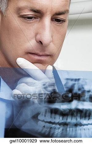 Dentist examining an X-Ray report View Large Photo Image Stock Photo - Dentist examining an X-Ray report. Fotosearch