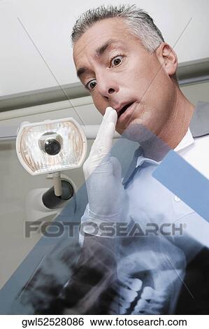 Dentist examining an X-Ray report View Large Photo Image Stock Photograph - Dentist examining an X-Ray report. Fotosearch
