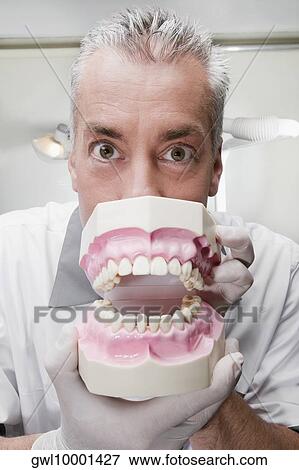 Dentist holding a set of dentures View Large Photo Image Stock Photo - Dentist holding a set of dentures. Fotosearch
