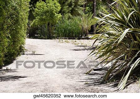 Stock Image - Dirt road in a park. Fotosearch