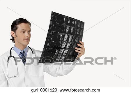 Doctor examining an x-ray report View Large Photo Image Stock Photo - Doctor examining an x-ray report. Fotosearch