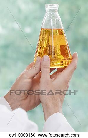 Doctor holding a conical flask in a laboratory View Large Photo Image Stock Image - Doctor holding a conical flask in a laboratory. Fotosearch