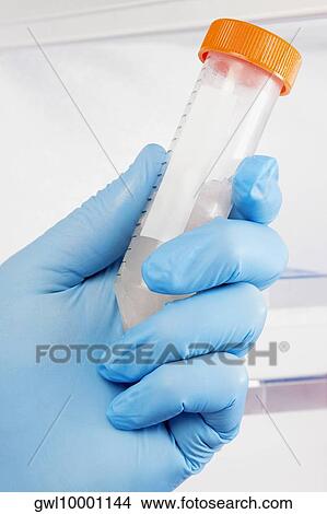 Doctor holding a medical sample in a laboratory View Large Photo Image Picture - Doctor holding a medical sample in a laboratory. Fotosearch