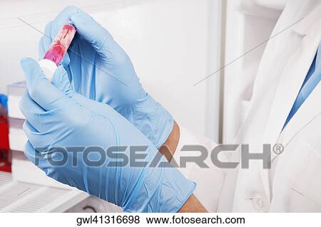 Doctor holding a medical sample in a laboratory View Large Photo Image Stock Photo - Doctor holding a medical sample in a laboratory. Fotosearch