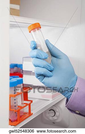 Stock Photograph - Doctor holding a medical sample in a laboratory. Fotosearch
