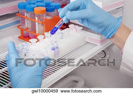 Doctor in a laboratory View Large Photo Image Stock Photo - Doctor in a laboratory. Fotosearch
