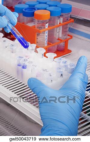 Doctor in a laboratory View Large Photo Image Stock Photo - Doctor in a laboratory. Fotosearch