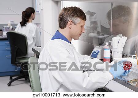 Doctors researching in a laboratory View Large Photo Image Stock Image - Doctors researching in a laboratory. Fotosearch