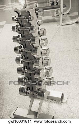 Dumbbells on a rack in a gym View Large Photo Image Stock Image - Dumbbells on a rack in a gym. Fotosearch