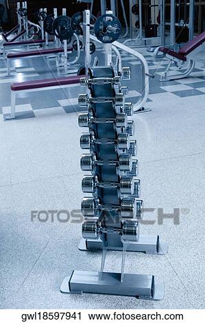 Dumbbells on a rack in a gym View Large Photo Image Stock Image - Dumbbells on a rack in a gym. Fotosearch