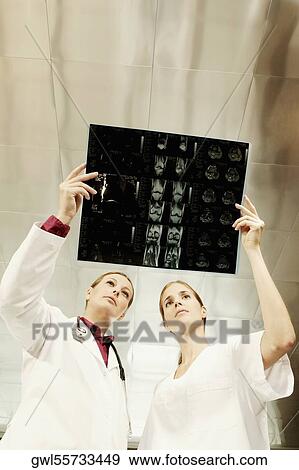 Female doctor and a nurse examining an X-Ray View Large Photo Image Stock Photo - Female doctor and a nurse examining an X-Ray. Fotosearch