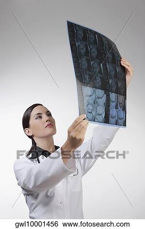 Female doctor examining an x-ray report View Large Photo Image Stock Photograph - Female doctor examining an x-ray report. Fotosearch