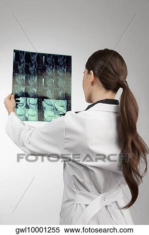 Female doctor examining an x-ray report View Large Photo Image Stock Photography - Female doctor examining an x-ray report. Fotosearch