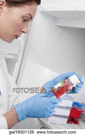 Female doctor holding a bottle of solution in a laboratory View Large Photo Image Stock Photograph - Female doctor holding a bottle of solution in a laboratory. Fotosearch