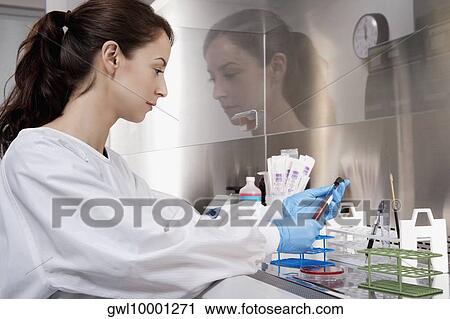 Female doctor holding a medical sample in a laboratory View Large Photo Image Stock Image - Female doctor holding a medical sample in a laboratory. Fotosearch