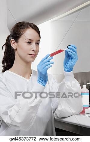 Female doctor holding a medical sample in a laboratory View Large Photo Image Stock Image - Female doctor holding a medical sample in a laboratory. Fotosearch