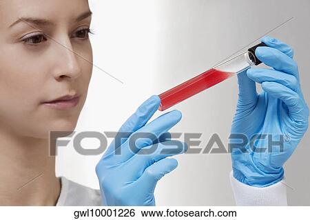 Female doctor holding a medical sample in a laboratory View Large Photo Image Stock Photograph - Female doctor holding a medical sample in a laboratory. Fotosearch