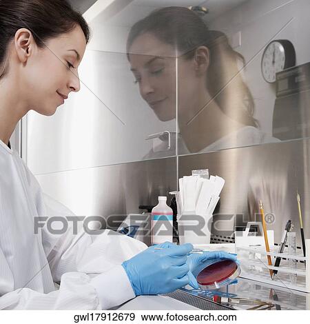 Female doctor researching in a laboratory View Large Photo Image Stock Photo - Female doctor researching in a laboratory. Fotosearch