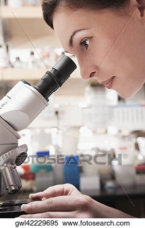 Female doctor working on a microscope in a laboratory View Large Photo Image Stock Photography - Female doctor working on a microscope in a laboratory. Fotosearch