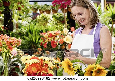 Female florist holding pruning shears View Large Photo Image Stock Image - Female florist holding pruning shears. Fotosearch