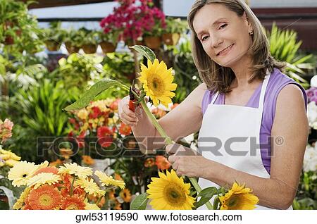 Female florist pruning flowers View Large Photo Image Stock Image - Female florist pruning flowers. Fotosearch