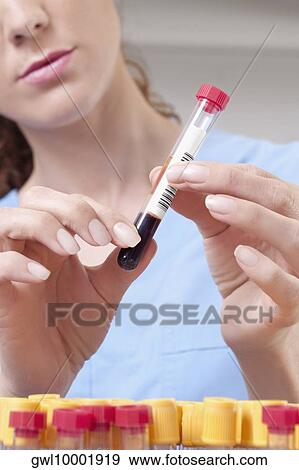 Female lab technician analyzing a blood sample in a test tube View Large Photo Image Stock Photo - Female lab technician analyzing a blood sample in a test tube. Fotosearch