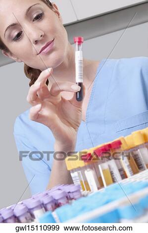 Female lab technician analyzing a blood sample in a test tube View Large Photo Image Stock Photo - Female lab technician analyzing a blood sample in a test tube. Fotosearch