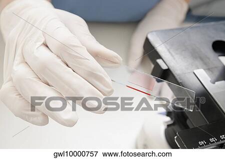 Female lab technician analyzing a sample in a laboratory View Large Photo Image Stock Photo - Female lab technician analyzing a sample in a laboratory. Fotosearch