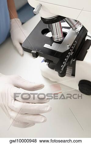 Female lab technician analyzing a sample in a laboratory View Large Photo Image Stock Photo - Female lab technician analyzing a sample in a laboratory. Fotosearch