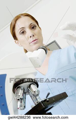 Female lab technician analyzing a sample in a laboratory View Large Photo Image Stock Photograph - Female lab technician analyzing a sample in a laboratory. Fotosearch