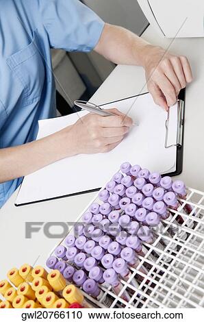 Female lab technician preparing a medical report View Large Photo Image Stock Image - Female lab technician preparing a medical report. Fotosearch